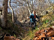 29 Cammino su tappeto di foglie cadute dai faggi 